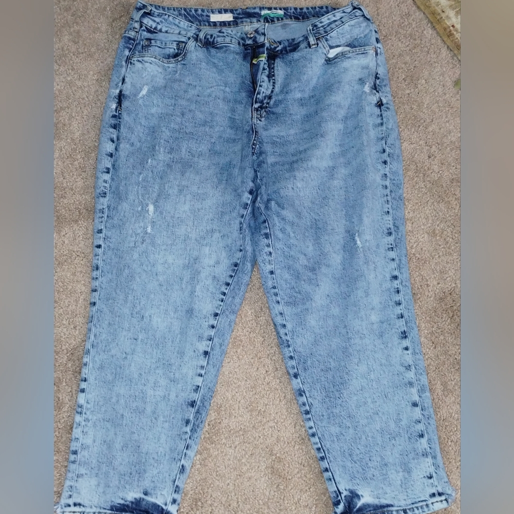 Anthropology Classic Blue Women's Jeans